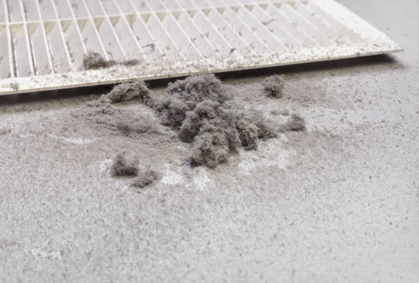 Best HVAC System Cleaning  in Loxley, AL