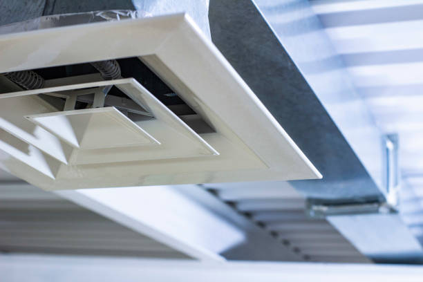 Best Professional Duct Cleaning Services  in Loxley, AL