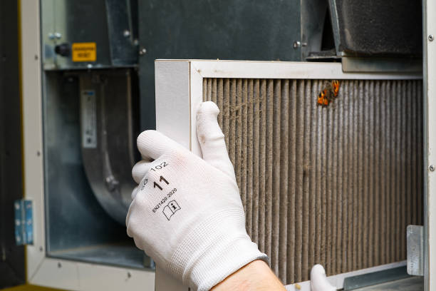 Best Professional Duct Cleaning Services  in Loxley, AL