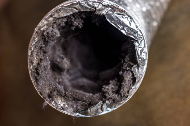 Best Best Air Duct Cleaning Company  in Loxley, AL