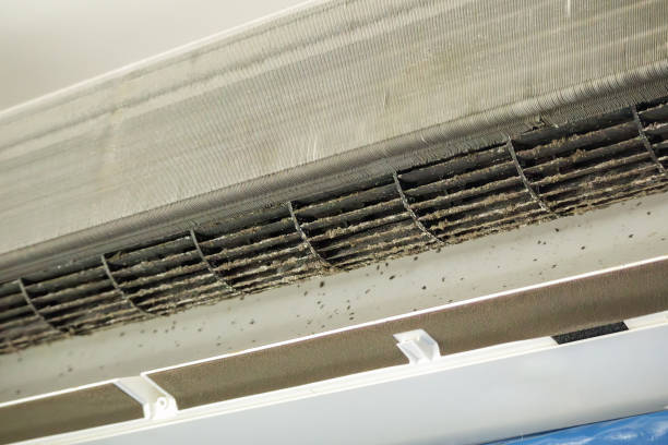 Best Affordable Air Duct Cleaning  in Loxley, AL