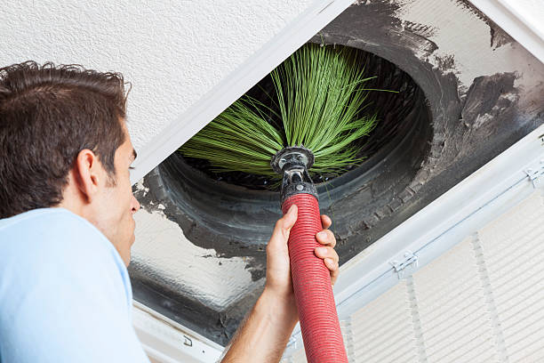 Best Ductwork Cleaning Services  in Loxley, AL