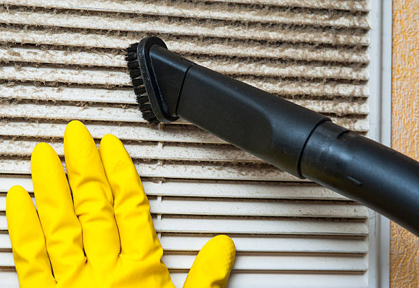 Air Duct Mold Removal in Loxley, AL